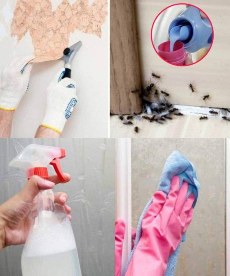 10 Ways to Use Fabric Softener That Have Nothing to Do with Laundry