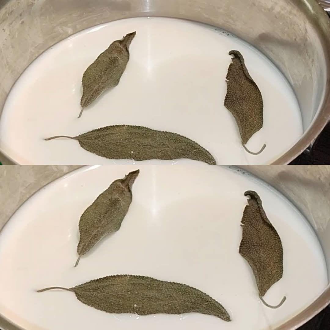 Say Goodbye to Cough: The Power of Bay Leaf Milk Before Bed