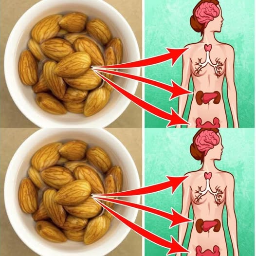 What Really Happens When You Eat Soaked Almonds Every Morning (Unbelievable!)