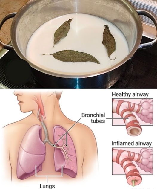 Bay Leaf, Milk, and Honey Remedy for Coughs and Congestion: A Must-Remember Recipe!