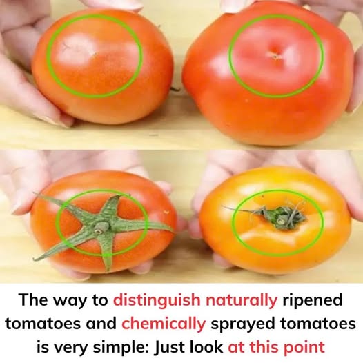 The way to distinguish naturally ripened tomatoes