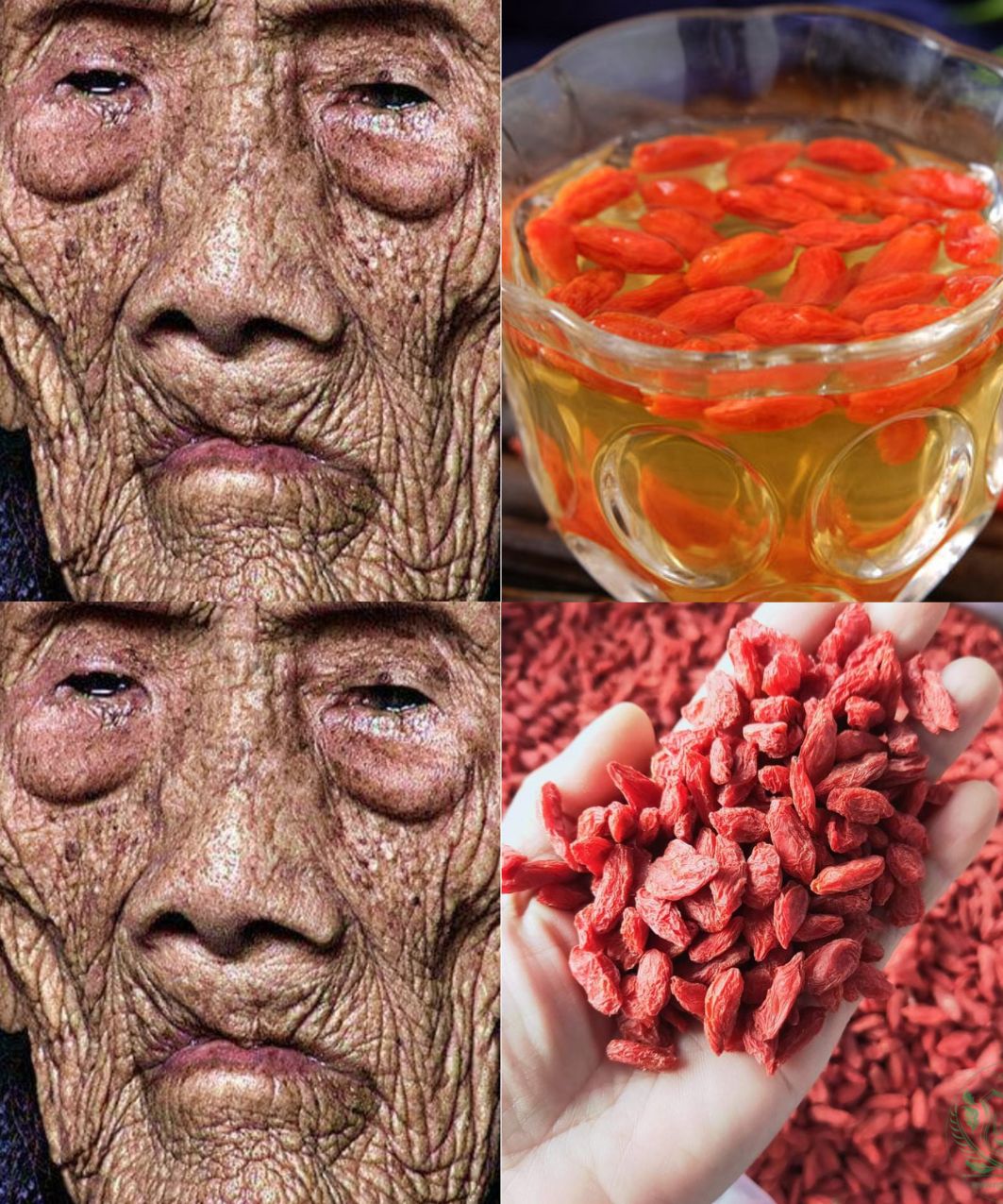 The Incredible Longevity of Li Ching-Yuen: Secrets of the 256-Year-Old Herbalist