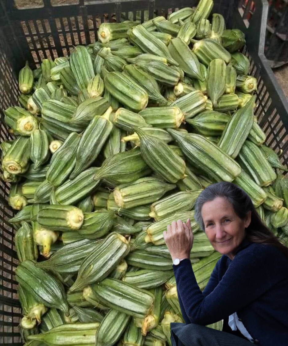 11 Reasons Why You Should Eat Okra Multiple Times a Week