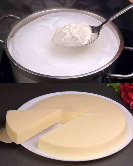 Homemade Cheese 10 Times Cheaper Than Store-Bought