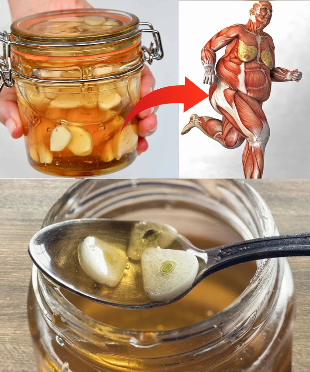 Discover the Power of Garlic and Honey: What Happens When You Eat Them on an Empty Stomach for 7 Days