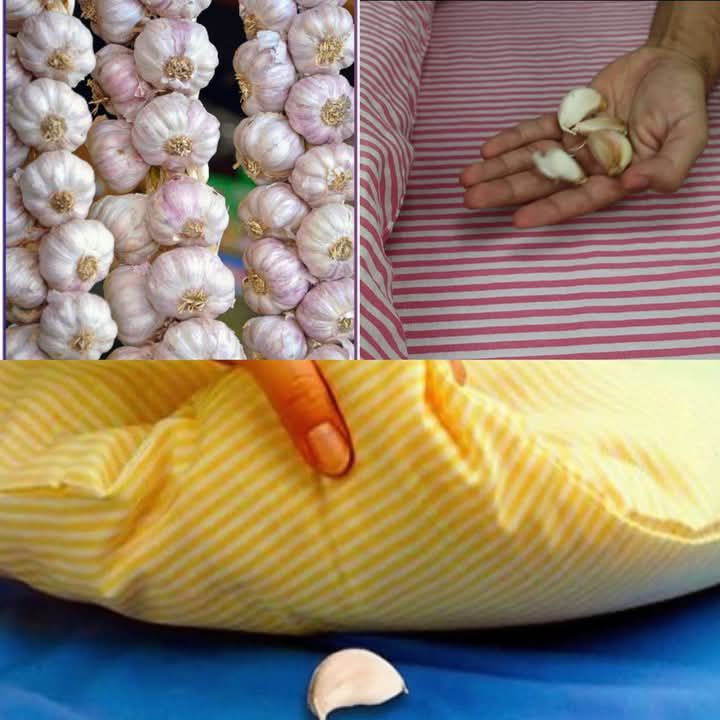 Why You Should Sleep With Garlic Under Your Pillow