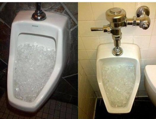 Why do restaurants and hotels often put ice in their toilets?