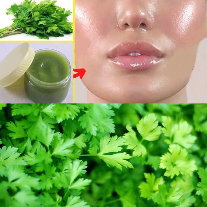 Parsley Made Me Look 20 Years Younger: The Most Powerful Anti-Aging Collagen Booster