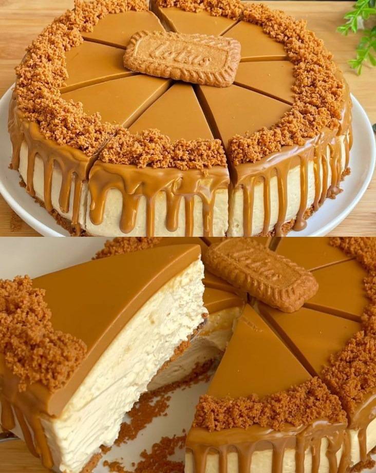 Delicious cheesecake inspired by biscoff