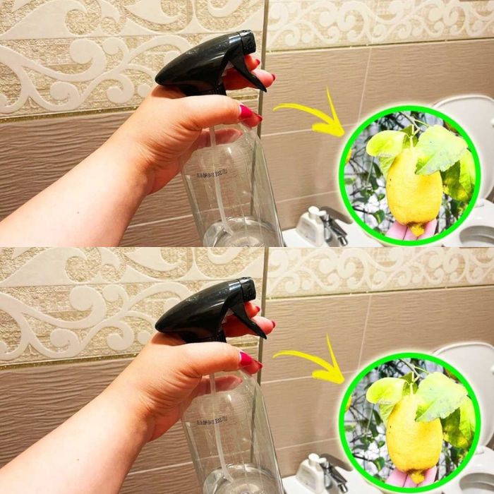 How to perfume the bathroom with the orange peel trick?