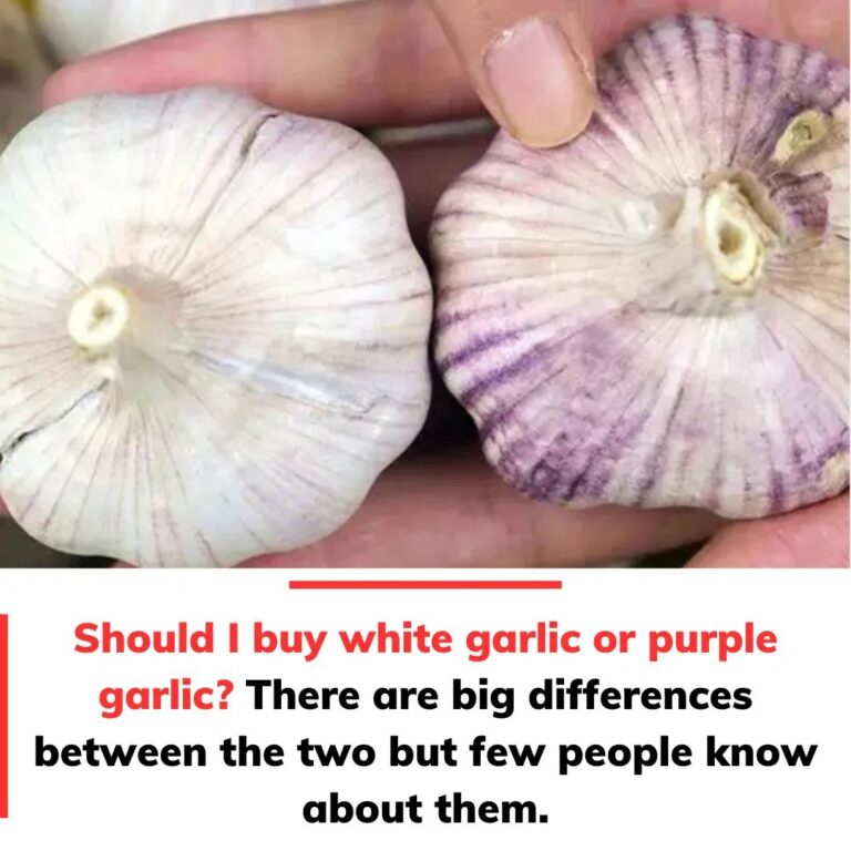 Should I buy white garlic or purple garlic?