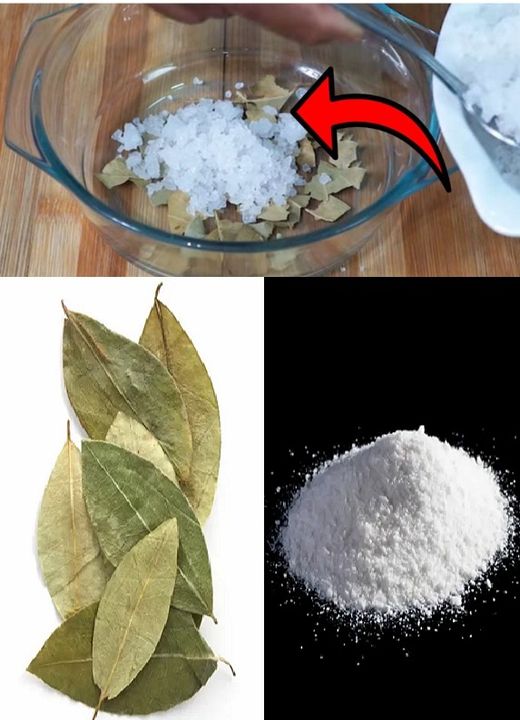 Unveiling the Hidden Secrets of Salt and Bay Leaves: Household Marvels You Must Try