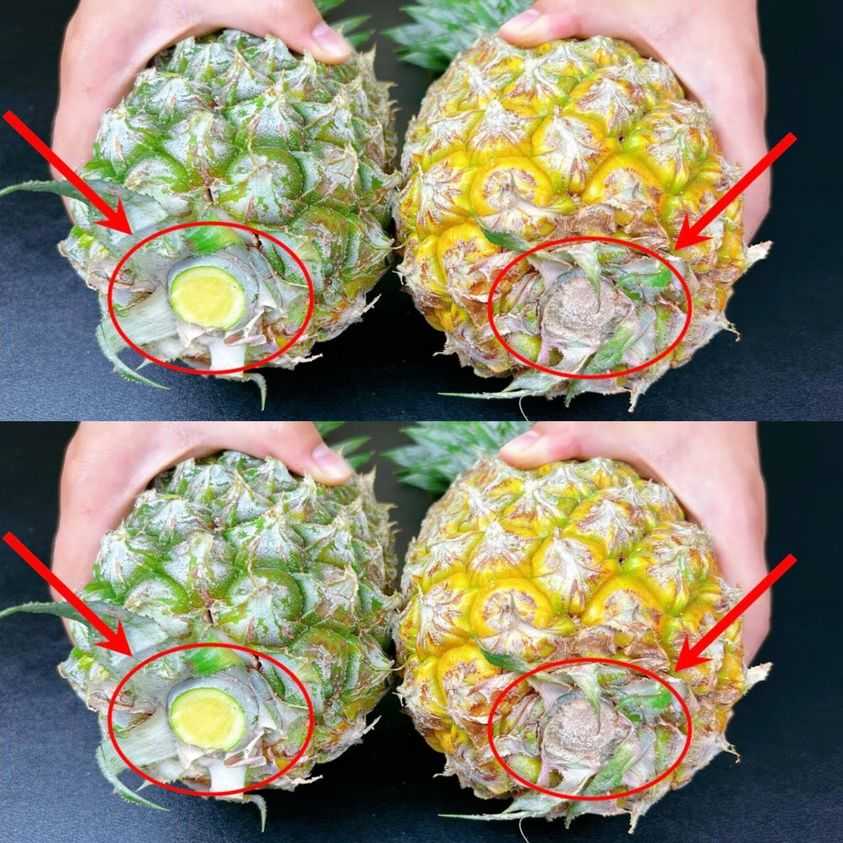 Juicy Tips: How to Pick the Perfect Pineapple Every Time