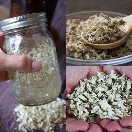 Clear Your Lungs and Soothe Your Cough: A Natural Remedy for Cough, Laryngitis, and Bronchitis with Marshmallow Root Tea