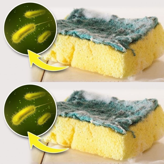 Dirty sponge, don’t throw it away: if you do, it will be as good as new