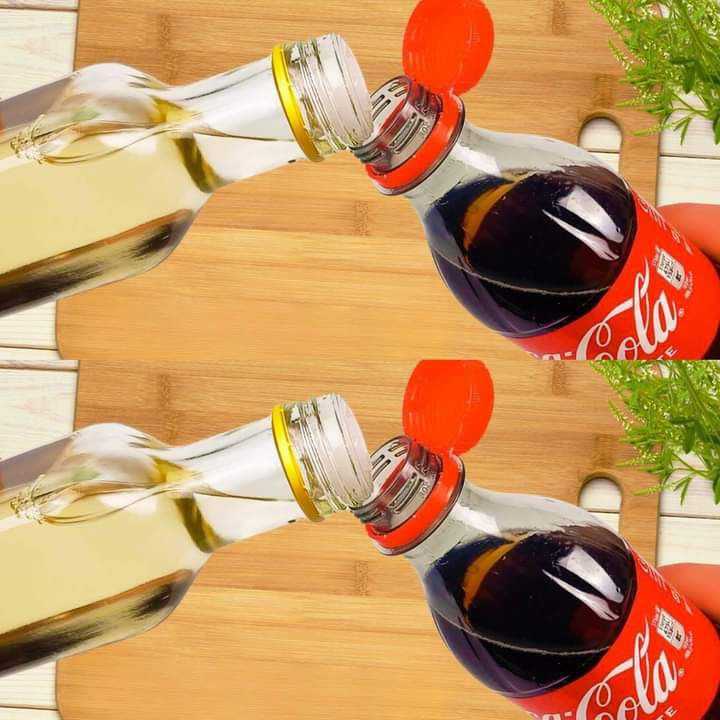 Mix White Vinegar with Coca-Cola and Discover the Surprising Results!