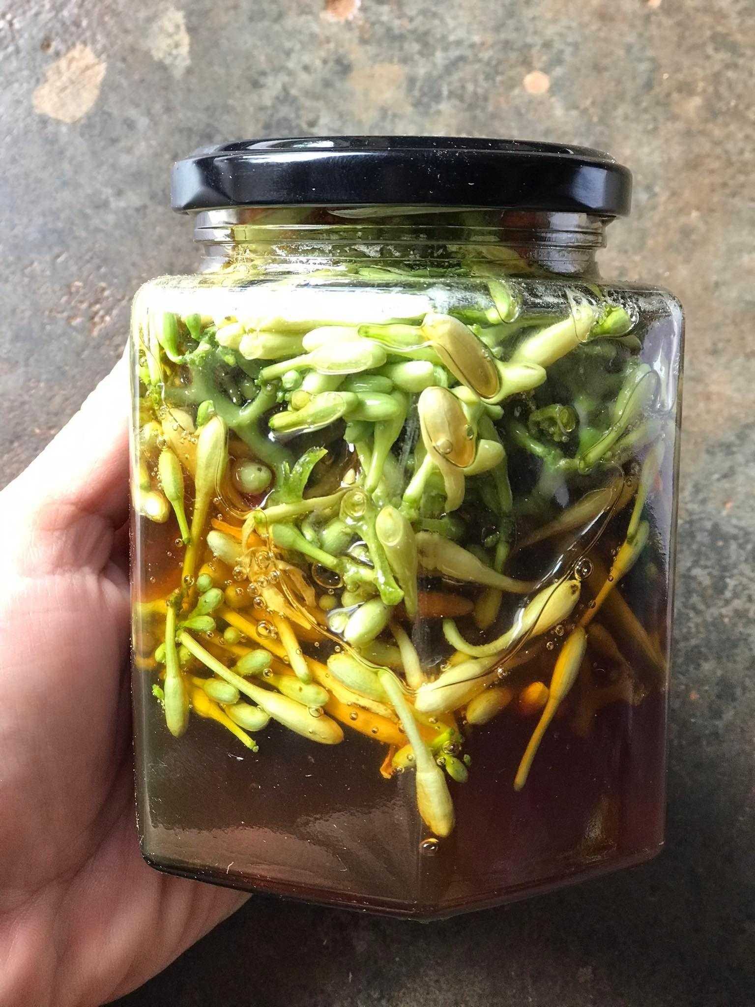 11 Reasons Why You Should Prepare a Jar of Papaya Flowers Soaked in Honey for Your Family