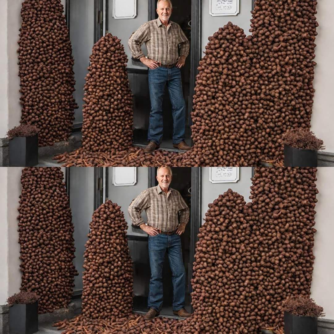 Sprinkle cloves outside your door and you will be shocked by the effect