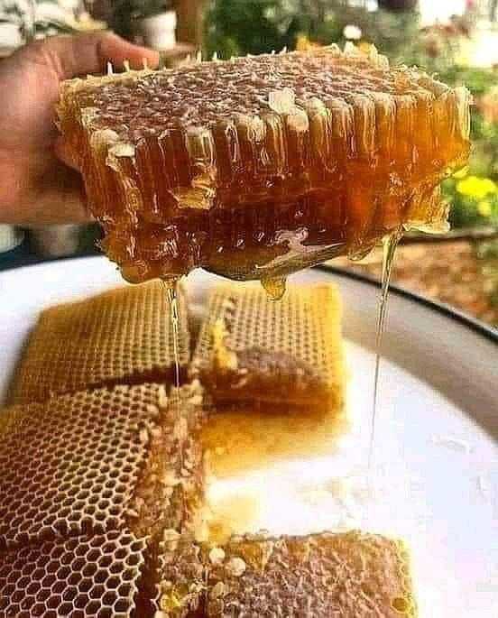 Benefits of honey: food and medicine from nature