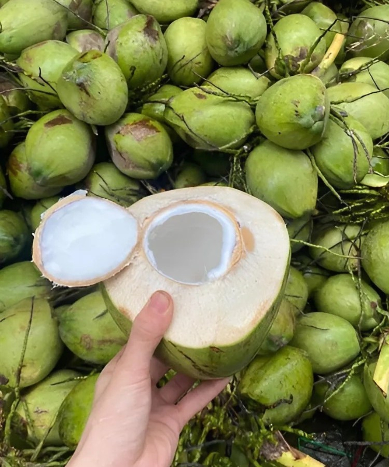 9 Things You Should Know Before Drinking Coconut Water