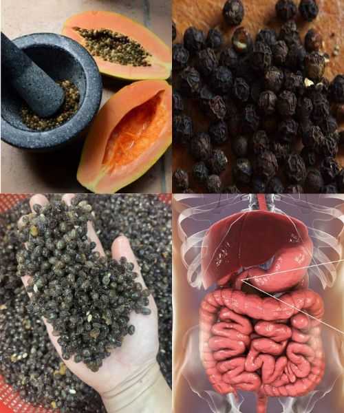 Papaya Seeds: Nature’s Underrated Superfood