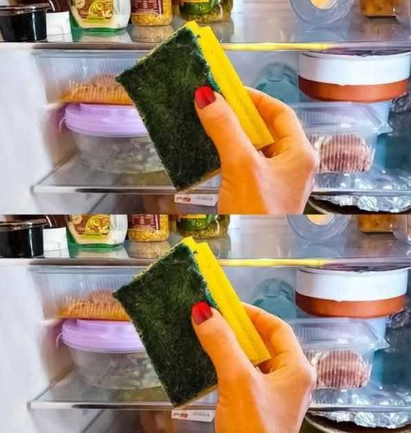 Put a sponge in the refrigerator: the trick that saves you money