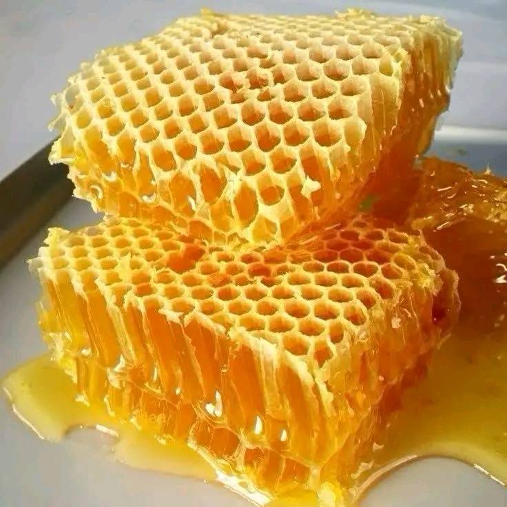 Benefits of honey: food and medicine from nature