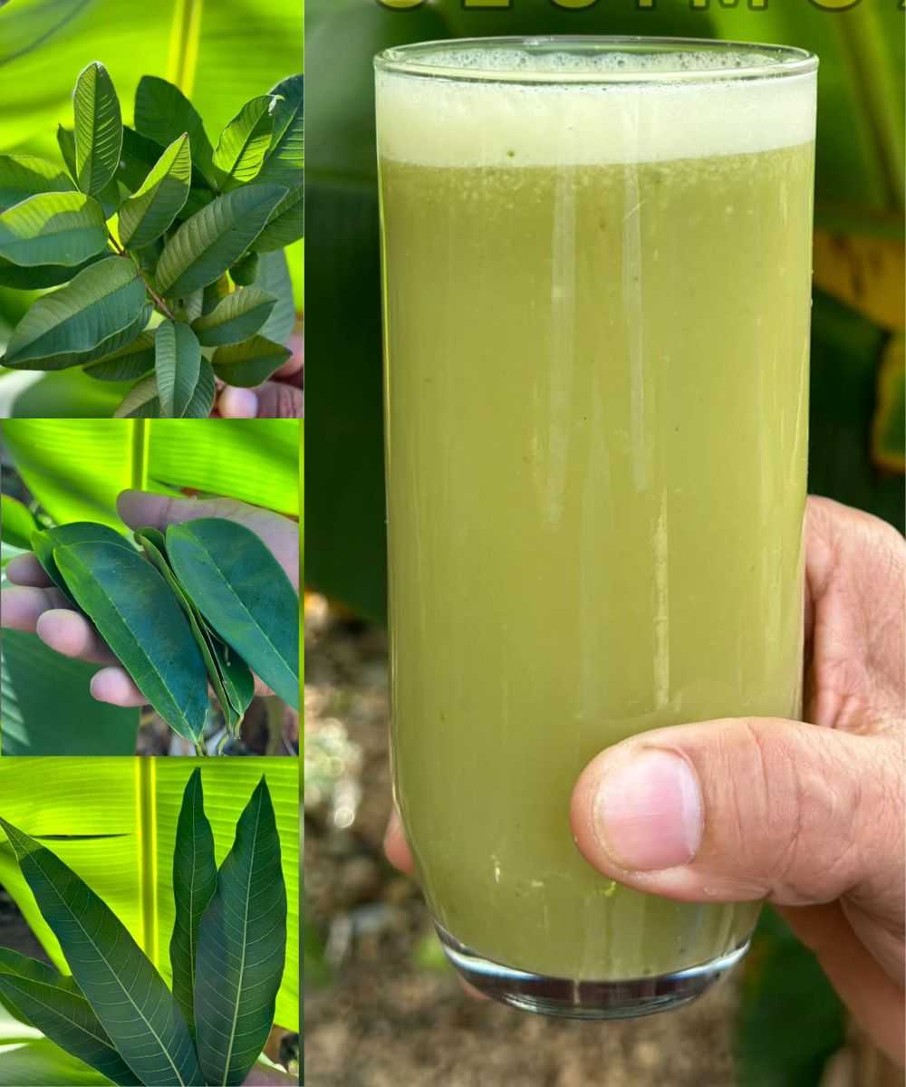 This Is the Drink That Can Help Cure Cancer, Diabetes, Poor Circulation, and High Blood Pressure Without Expensive Medications