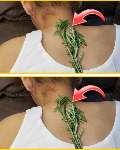 The reason why everyone is using Rosemary on their neck.