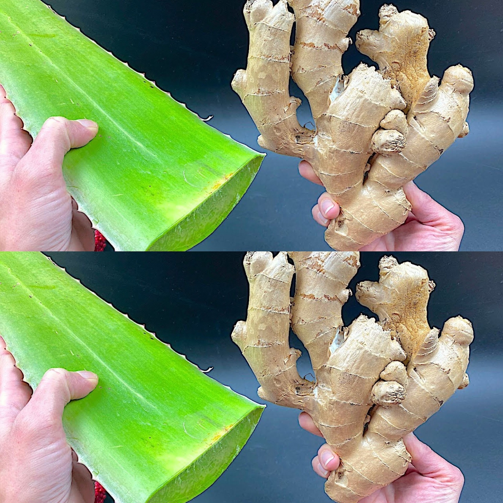 Ginger and Aloe Vera: A Natural BOMB 150 Times Stronger Than Garlic and Lemon! Destroy All Bacteria!