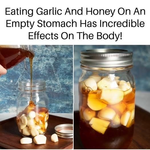 Eating Garlic And Honey On An Empty Stomach Has Amazing Effects On The Body!