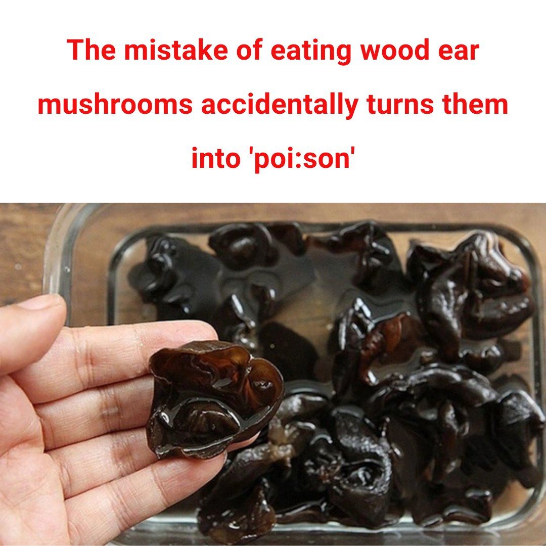 Mistakes when eating turn wood ear into “poison”