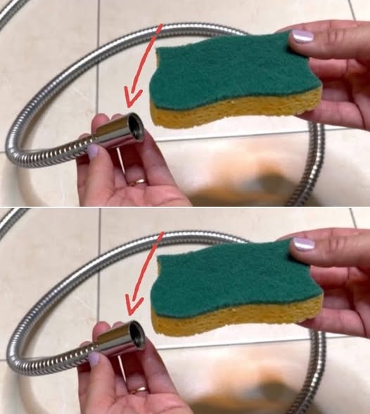 Place a Sponge Inside Your Shower Hose, and a Miracle Will Happen: I Wish I Had Known This Sooner!