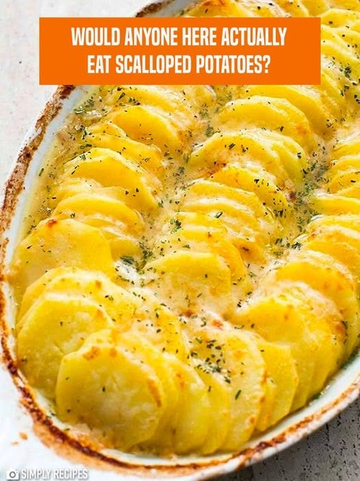 Best Scalloped Potatoes Ever