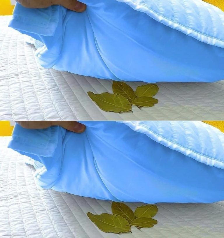 Always Put 2 Bay Leaves Under Your Pillow: Find Out Why