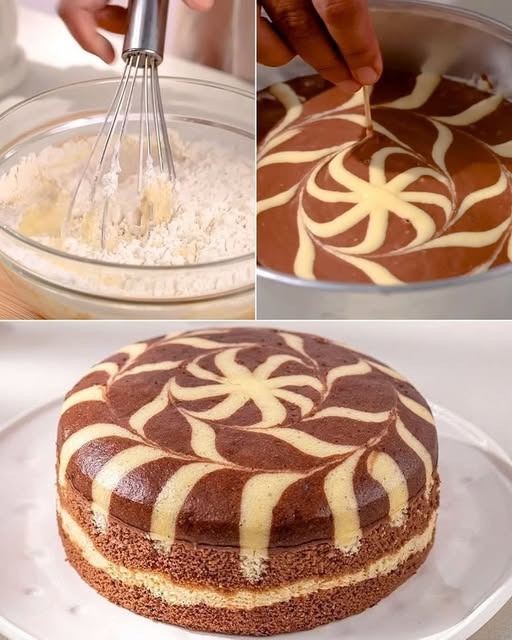 Zebra Sponge Cake Zebra Biscuit kuchen