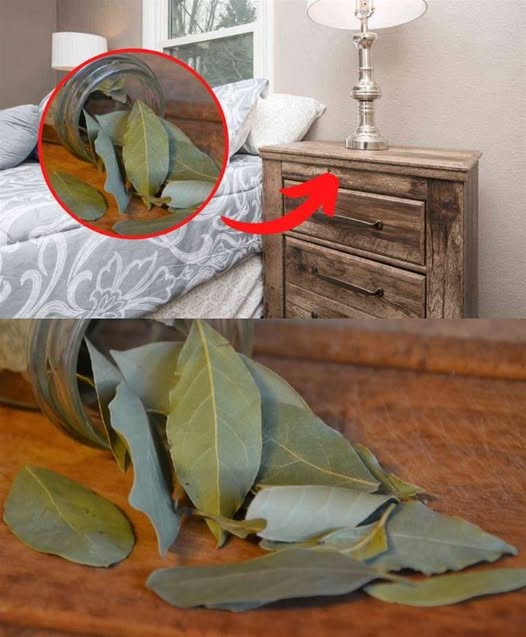 Why You Should Put Bay Leaves on Your Nightstand